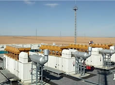 Проект в Казахстане